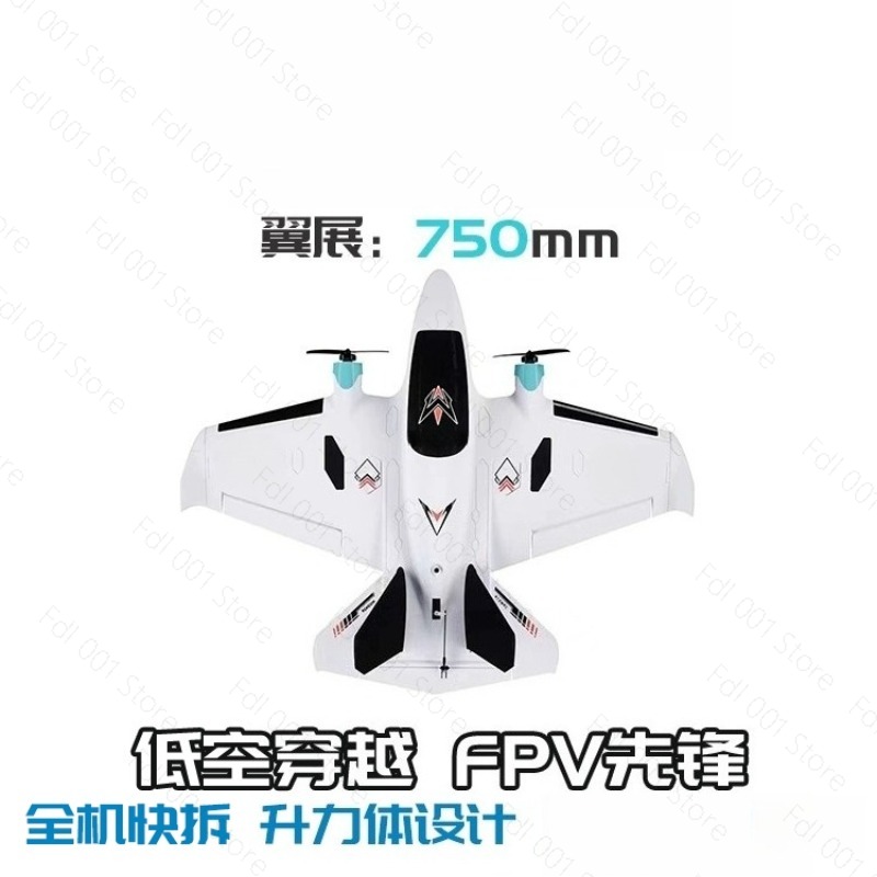 듀얼 모터 FPV 고정익 RC 비행기 레이싱 드론 휴대 - Rc Airplane Drone 리뷰 및 가격